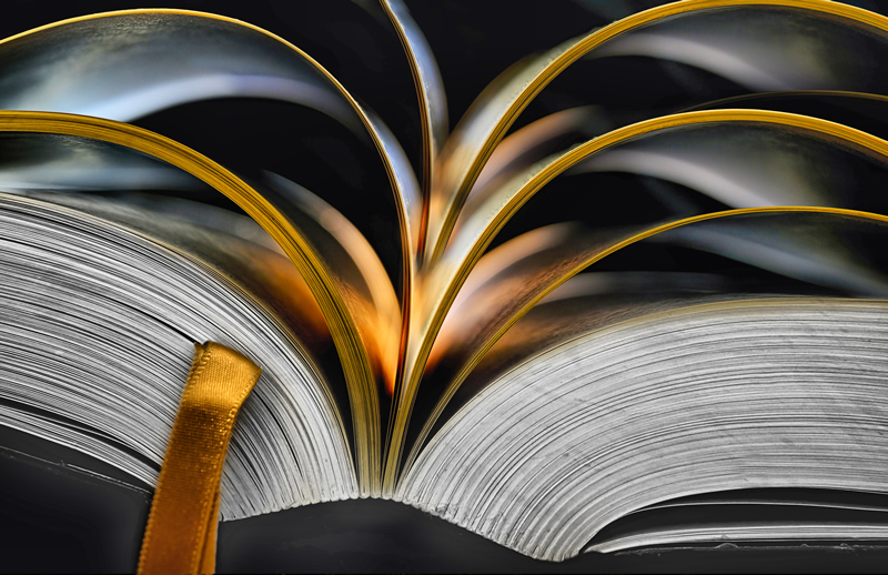 Golden Treasure by Pat Stone